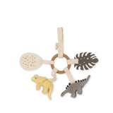 Activity Ring Dino