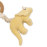 Activity Ring Dino