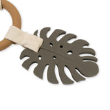 Activity Ring Dino