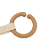 Activity Ring Dino