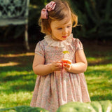 Moorhen Dress Pink